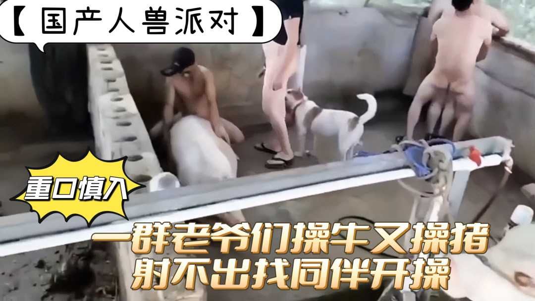 【国产人兽派对】一群老爷们操牛又操猪