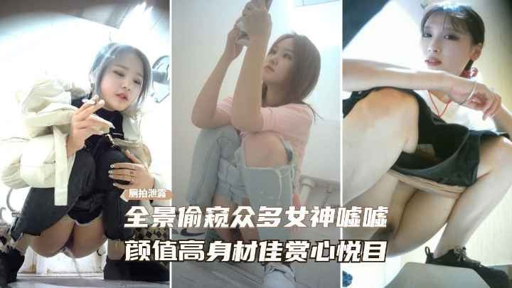 WLXB-227 高端窥视商场女卫生间全景偷拍多位小姐姐嘘嘘绝佳身材人美逼靓