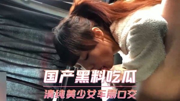 清纯学妹车内激情 制服口爆精液四溅 粉嫩少妇车震私拍 口交吞精一口闷 萝莉口技了得 车震吞精不带喘