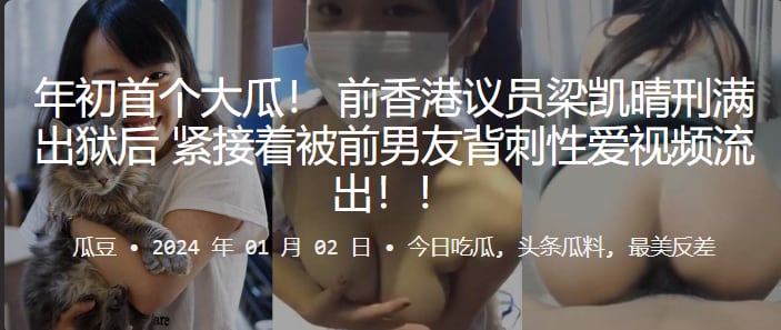 VLRU-136 议员梁凯晴刑满出狱后紧接着被前男友背刺性爱视频流出