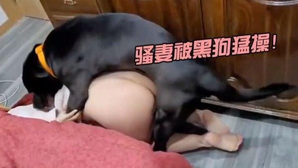 骚妻被.黑狗猛操